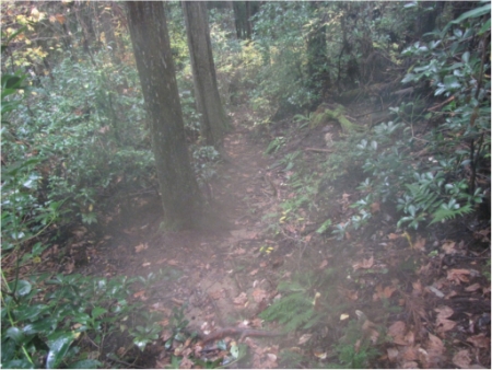 画像50